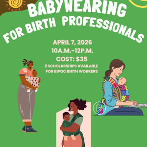 Babywearing for Birth Professionals